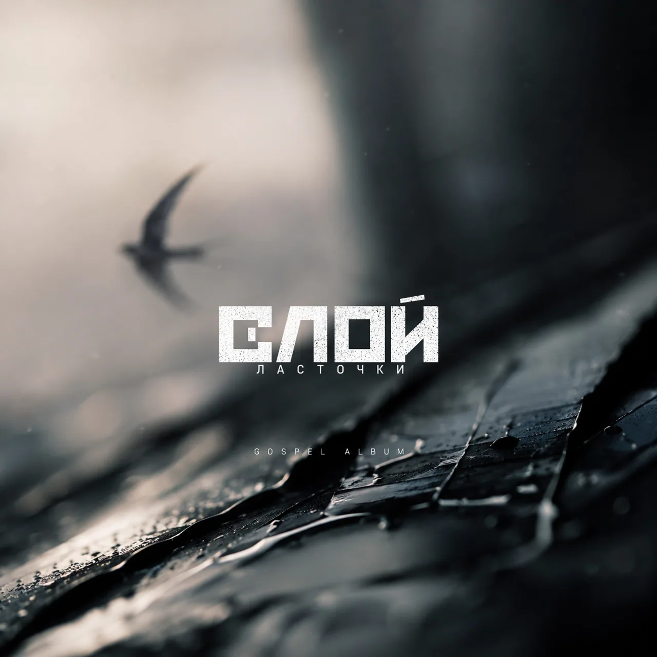 Обложка ЛАСТОЧКИ (GOSPEL EDITION)